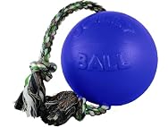 Jolly Pets Romp-N-Roll Ball Color: Blue, Size