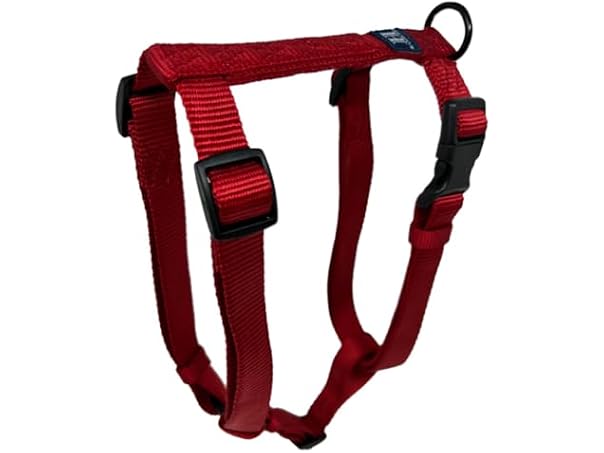 Hamilton Adjustable Comfort Nylon Dog