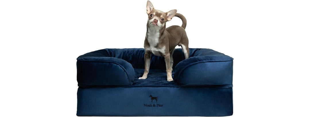 NOAH & PAW Dog/Cat Sofa- Medium