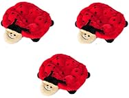 Crawler Ladybug