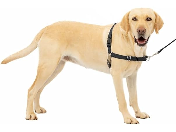 Petsafe Easy Walk No Pull Harness Black Large
