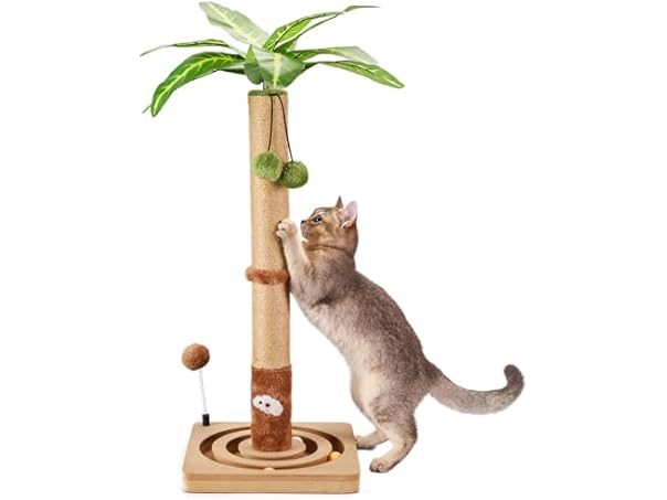 MECOOL 30" Premium Cat Scratching Post