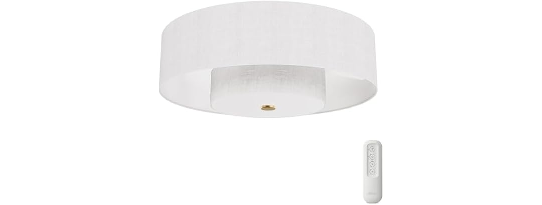 Hunter Fan 30" Fandelier w/ Light & Remote