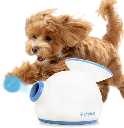 iFetch Automatic Ball Launcher for Small Dogs
