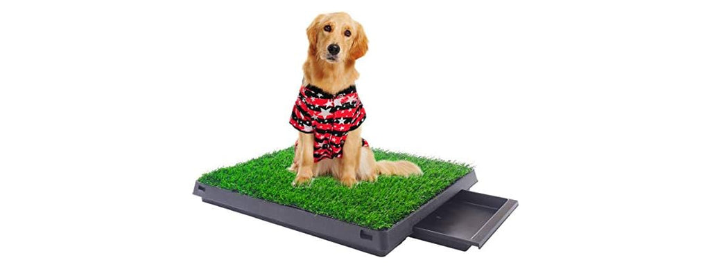 Sandinrayli Indoor Outdoor Dog Puppy Potty Trainer