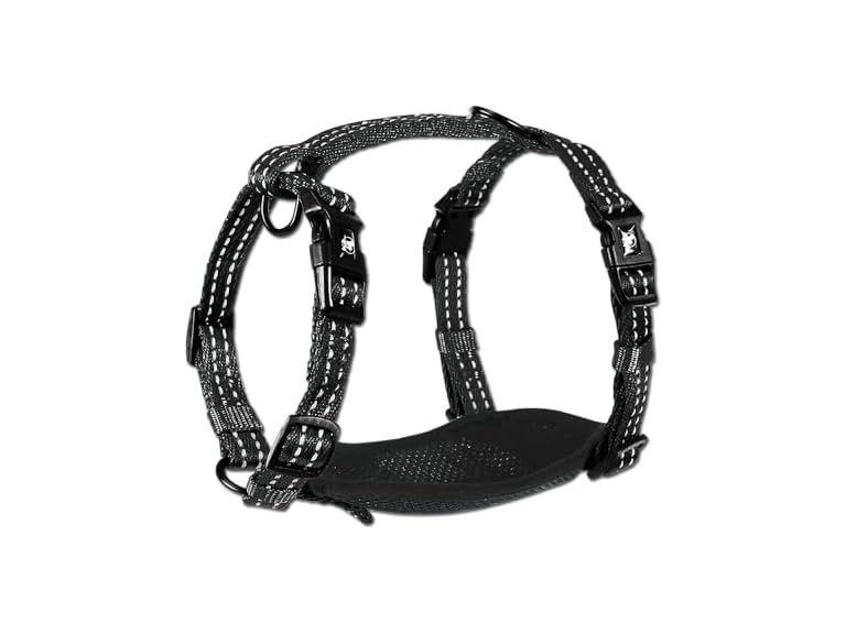 Alcott Essentials Adventure Pet Harness, Small