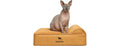 NOAH & PAW Orthopedic Dog Beds- Small