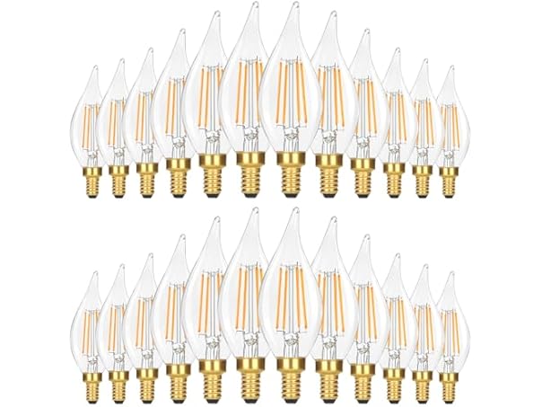 24PK GoBright 4W Candelabra Light Bulbs Daylight White