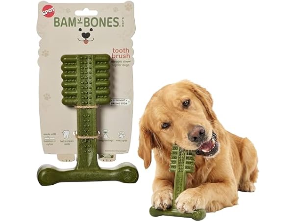 SPOT Bam-Bones Plus Toothbrush Dog Chew Toy