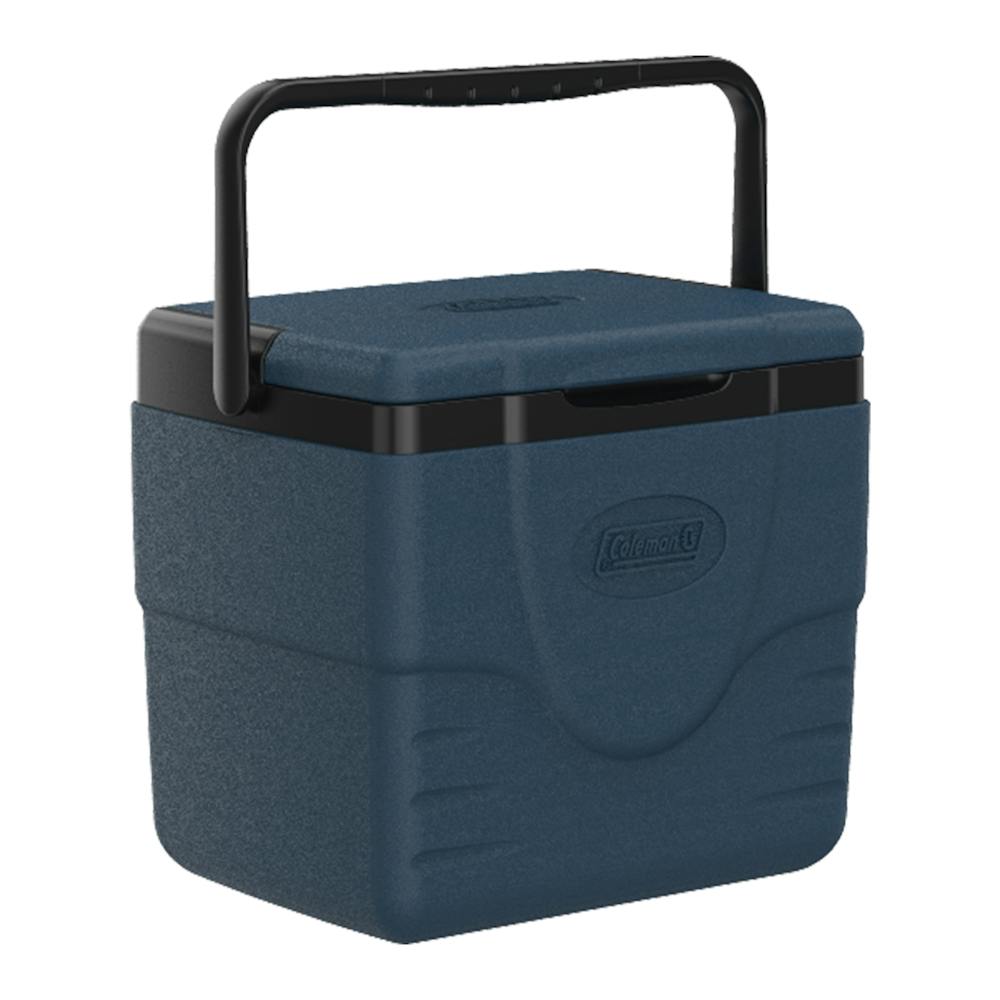 Chiller™ 9-Quart Portable Cooler