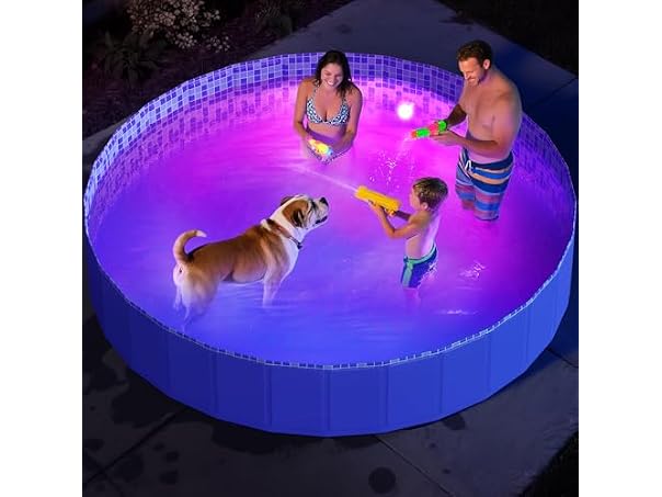 Pawtners Foldable Kiddie Pool with Light