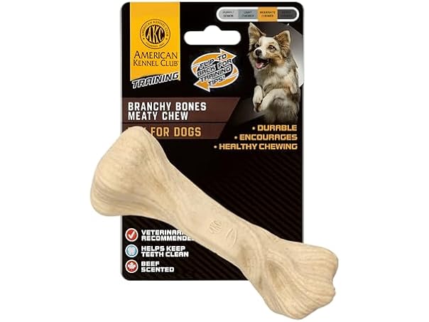 American Kennel Club Training Dog Chew Toy, Large Bone