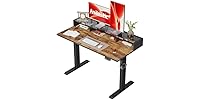 48 X 24 Inches Electric Standing Desk