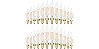 24PK GoBright 4W Candelabra Light Bulbs Daylight White