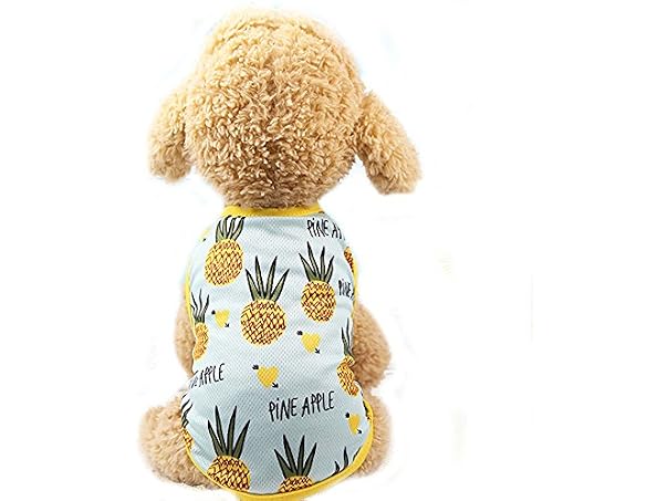 Pet Clothes,Lovely Summer Fruit Dog T-Shirt P