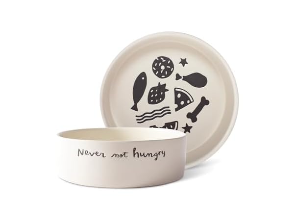 Fringe Studio Never NOT Hungry Wax Resist Ceramic Pet Bowl