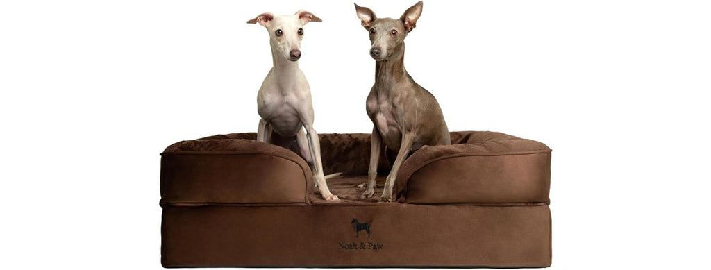 NOAH & PAW Dog/Cat Sofa- Large