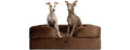 NOAH & PAW Dog/Cat Sofa- Large