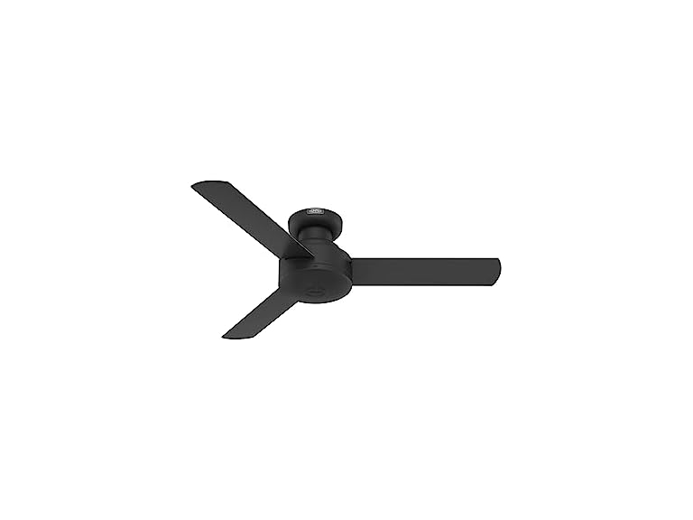 Hunter Fan 44" Ceiling Fan, Matte Black