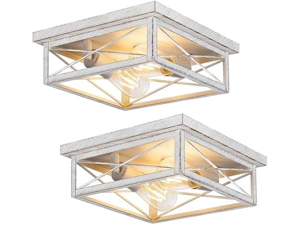 Hallway Light Fixtures for Ceiling, 2-Light