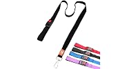 Canny Connect Leash - Anti Pull, Black