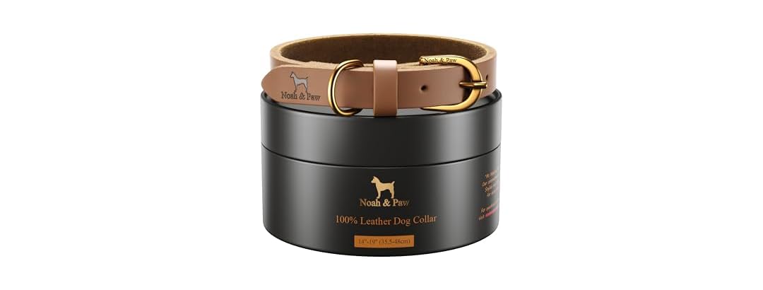 NOAH & PAW Genuine Leather Dog Collar