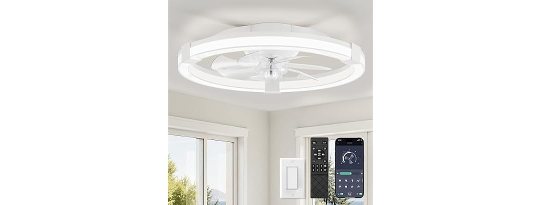 LEDIARY 20" Low Profile Ceiling Fan