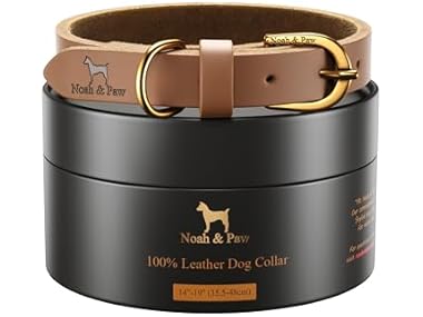 NOAH & PAW Genuine Leather Dog Collar