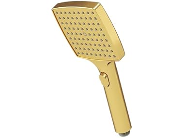 Symmons HydroMersion Transitional Handheld Shower Wand