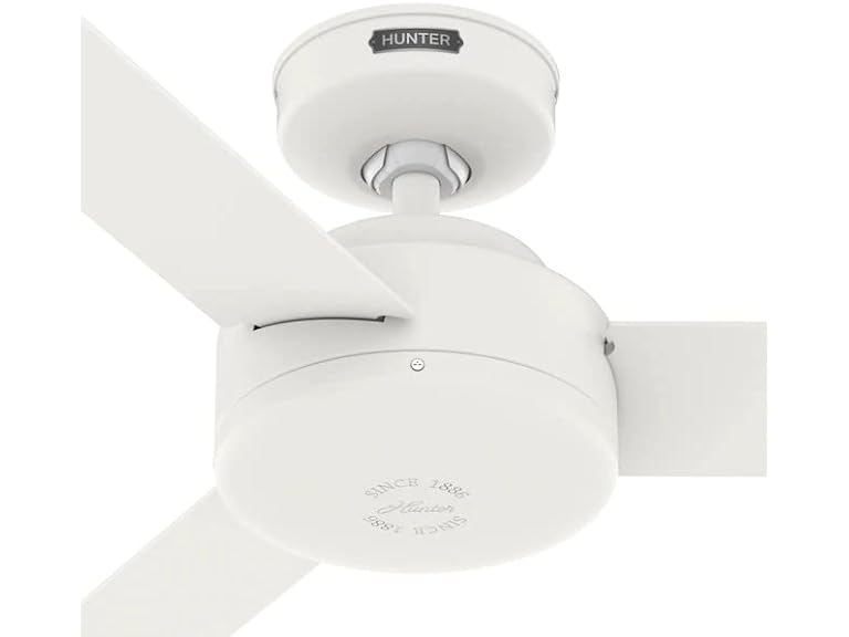 Hunter Fan 44" Indoor Fan, 3 Blades