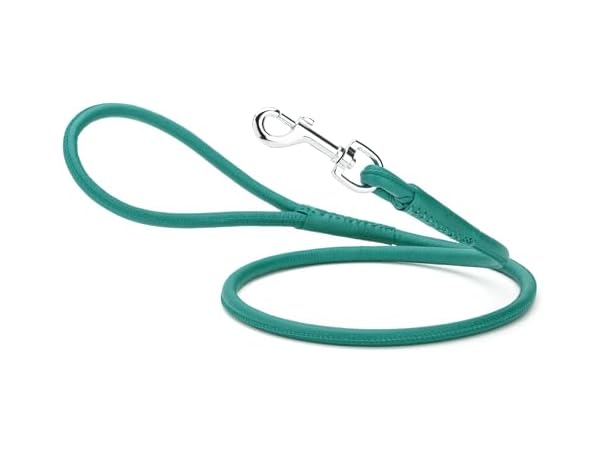 Dogline Rolled Leather Dog Leash - for Small