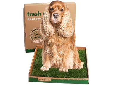 Fresh Patch Real Grass Patch for Dogs, Cats,