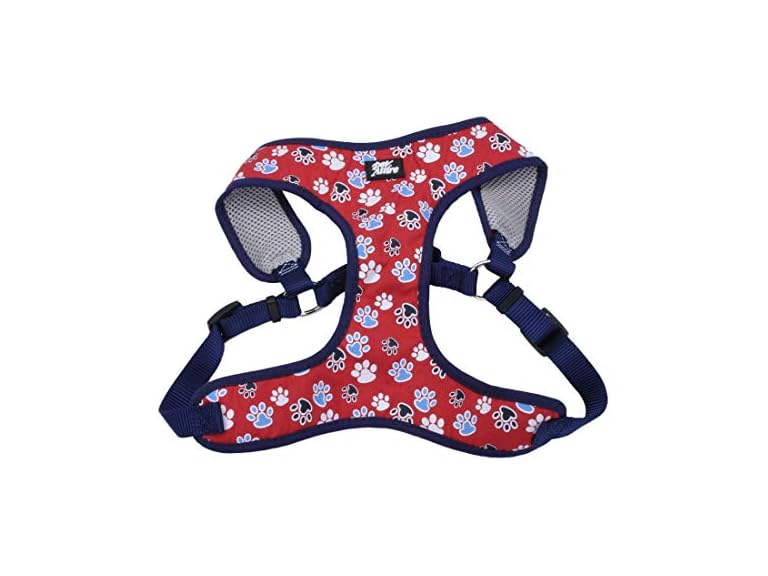 Coastal Pet Ribbon Designer Wrap Adjustable D