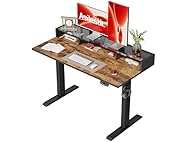 48 X 24 Inches Electric Standing Desk