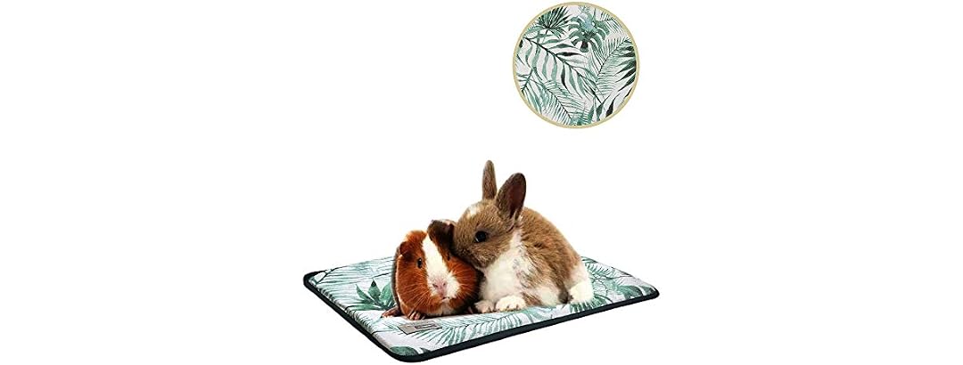 Oncpcare Summer Rabbit Bed Bunny Bed