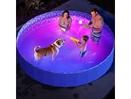 Pawtners Foldable Kiddie Pool with Light