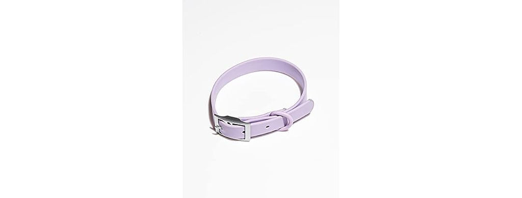 Wild One Collar - Large - Lilac
