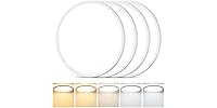 3200LM Flush Mount Ceiling Light Fixtures, 12in 24W