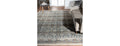 Aurora Transitional Area Rug