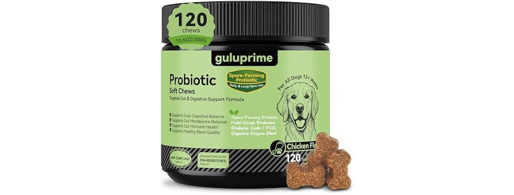 Probiotics for Dogs