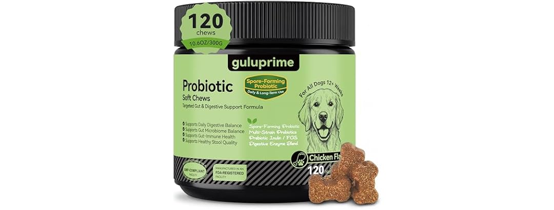 Probiotics for Dogs