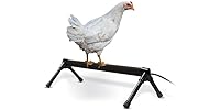 K&H Pet Products Thermo Heated Chicken