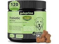 Probiotics for Dogs