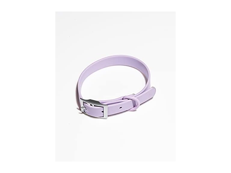 Wild One Collar - Large - Lilac