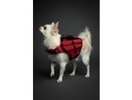 NOAH & PAW Dog Life Jacket- XSmall