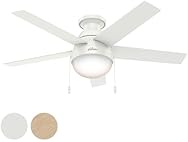 Hunter Fan 46" Contemporary w/ Light