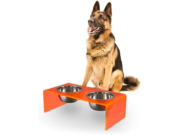 Keaton 7.5" Modern Acrylic Rectangular Elevated Pet Feeder