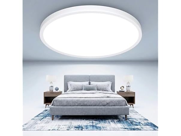 GoBright 16.5Inch LED Ceiling Light Fixture