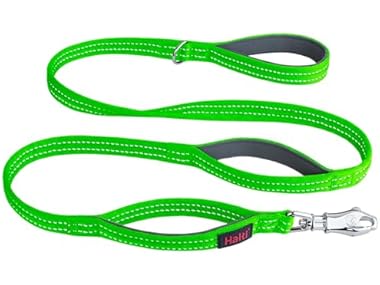 Halti BRIG Safety Dog Leash - Color-Coded Dog Leash