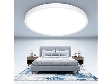 GoBright 16.5Inch LED Ceiling Light Fixture